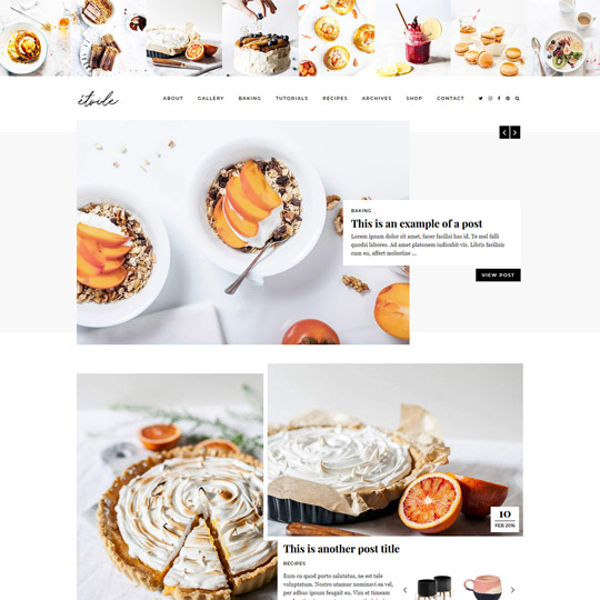 WordPress Theme: Etoile