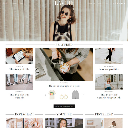 professional wordpress themes by