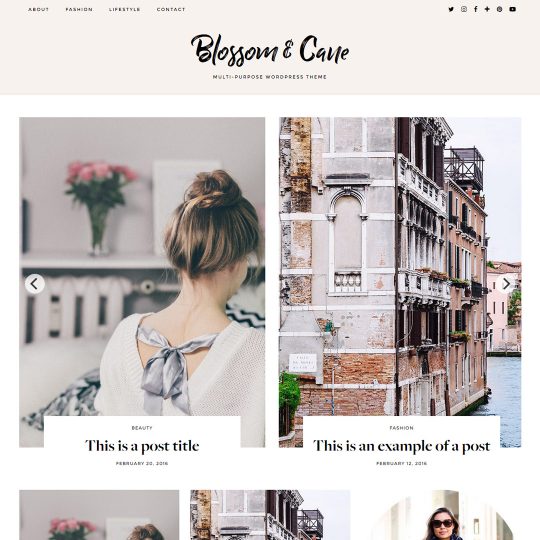 WordPress Theme: Blossom