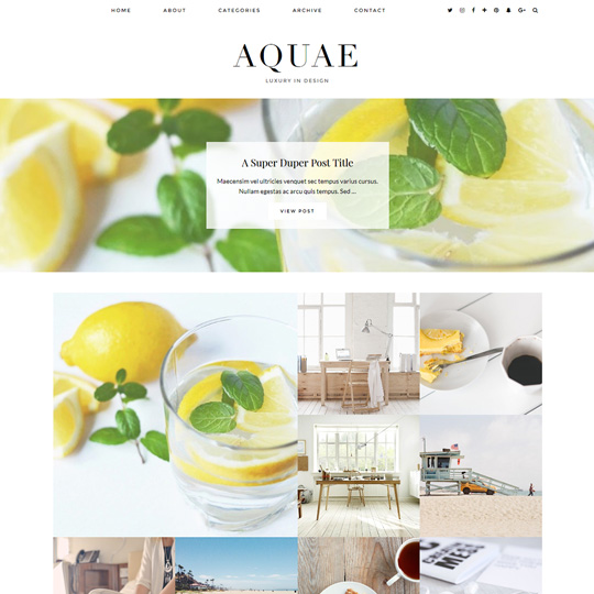 WordPress Theme: Aquae