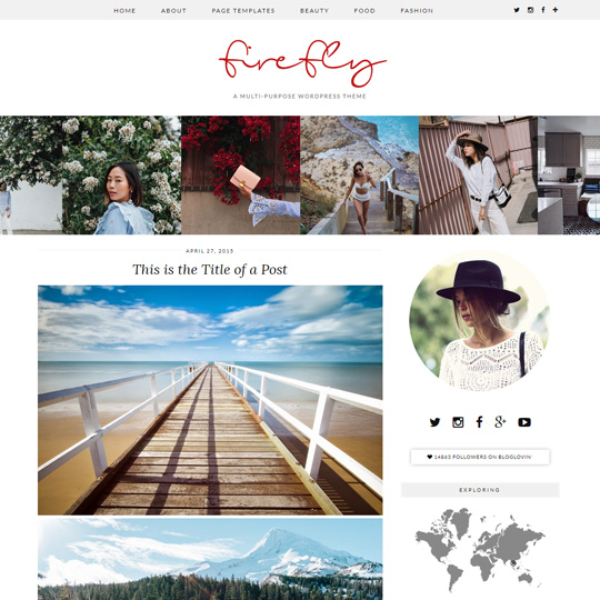 WordPress Theme: Firefly