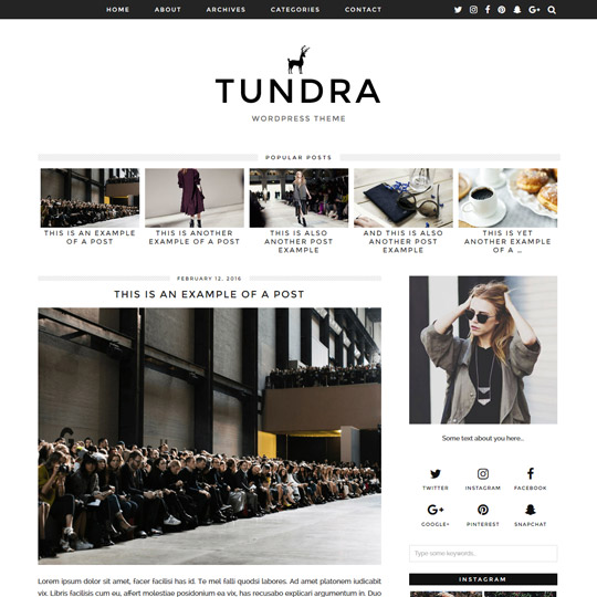 WordPress Theme: Tundra